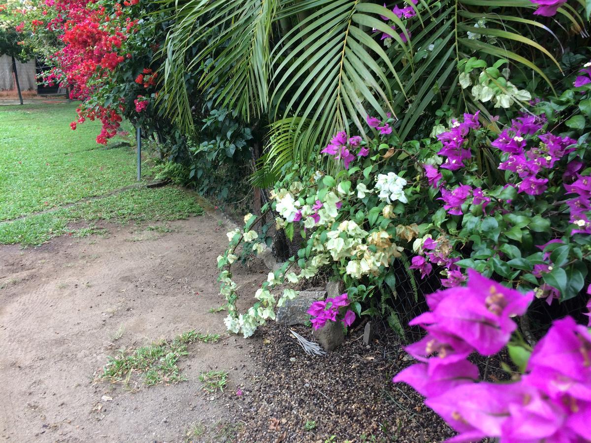 Casa Colonial Terrea No Saco Da Capela Em Ilhabela Villa Luaran gambar